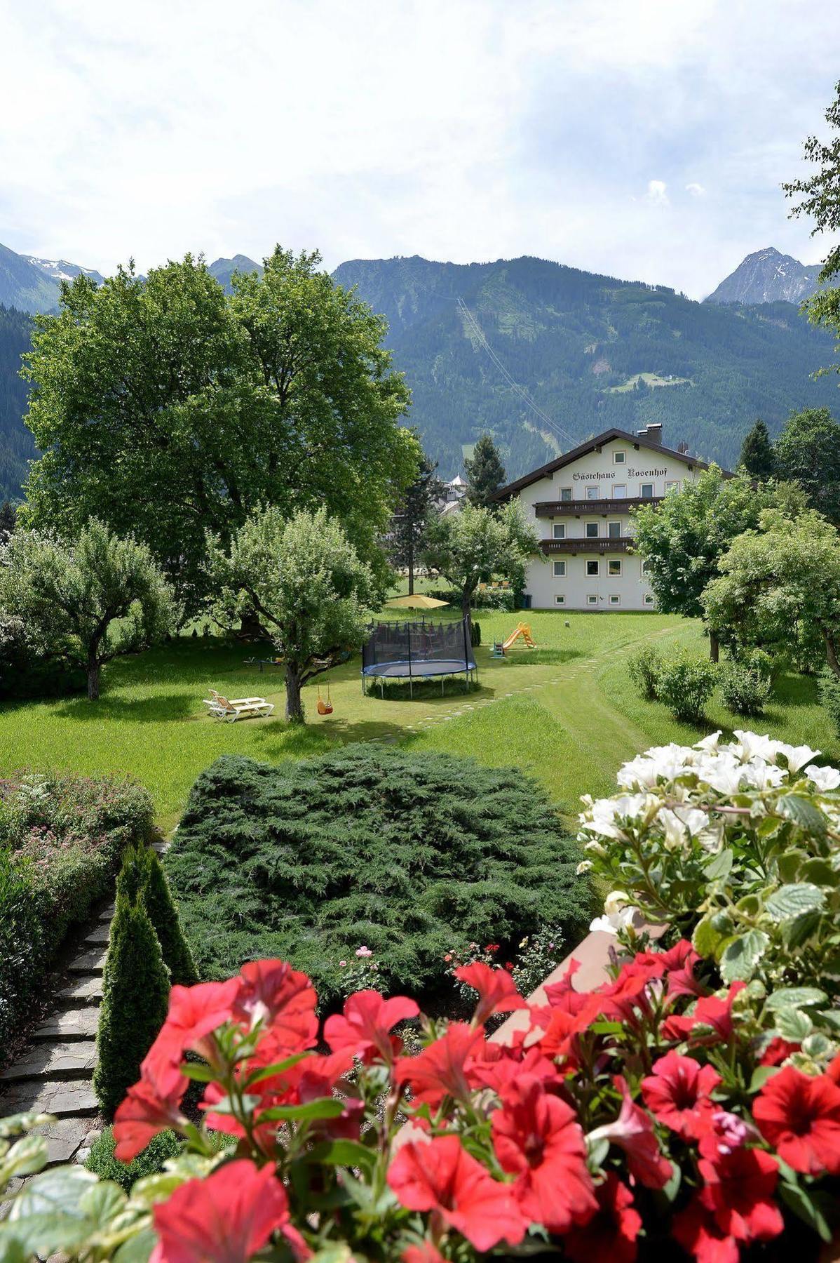 Pension Birkenhof مايرهوفن المظهر الخارجي الصورة